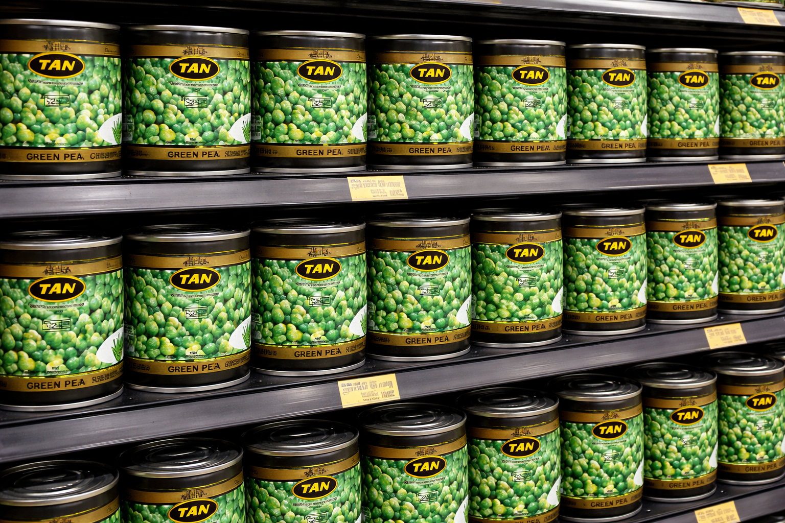 ChatGPT Image 2026年3月9日 15_37_22.png